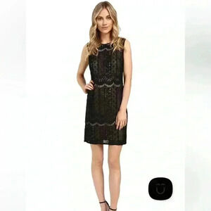 ADRIANNA PAPELL Black Lined Striped Lace Shift Dress Women’s Size 14 Cocktail